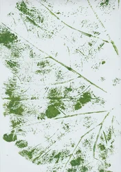 Impression de feuille verte