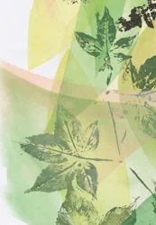 Superpositions « Feuille verte »
