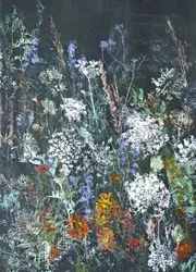 Floraison de fleurs sauvages à minuit