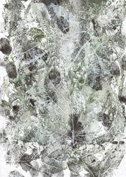 Empreintes de feuilles biologiques