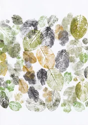 Empreintes de feuilles biologiques