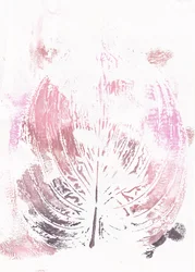 Feuille botanique rose