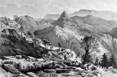 En marche près de Dongolo, gravé par James Ferguson, 1868