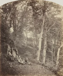 Un Chemin à Travers un Bois