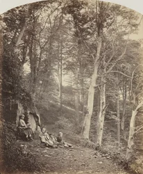 Un chemin à travers un bois, c. 1860
