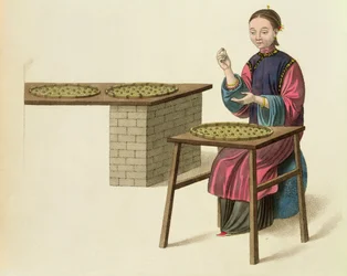Une femme préparant du thé, planche 21 de 