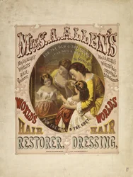 Restaurateur de cheveux mondial de Mme S. A. Allen, coiffure, 1865