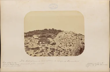 Partie calcaire de la face externe du récif de Pernambuco percée par les vautours