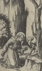 Saint François d