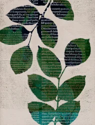 Feuilles, 2024 (monotype)
