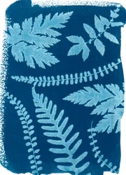 Montagne_147, 2023 (cyanotype)