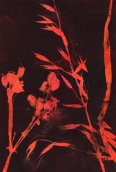 Feuilles rouges, 2024 (monotype)
