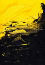 Sans titre, 2022 (acrylique sur toile)
