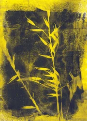 Feuilles jaunes, 2024 (monotype)
