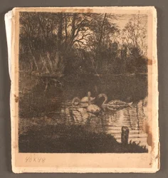 Motif avec des cygnes. Jardin de Frederiksberg