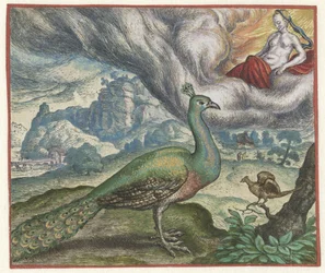 Fable du paon et du rossignol