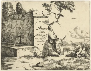 Bovin broutant derrière un mur (Runderen)