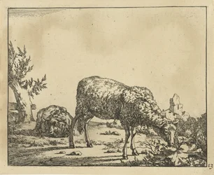 Mouton broutant et mouton couché près d