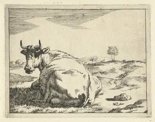 Vache couchée (Runderen en varkens)