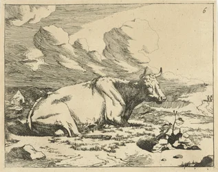 Vache couchée, de profil