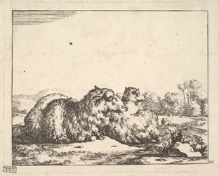 Moutons, d