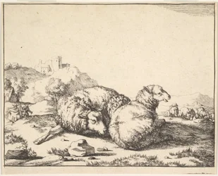 Moutons, d