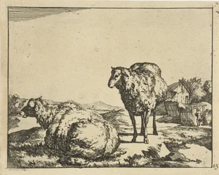 Mouton debout et couché avec ferme en arrière-plan (Schapen)