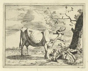 Vache debout près d