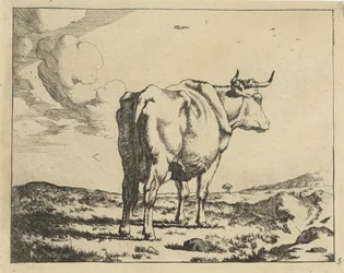 Vache debout vue de dos (Ruminants)