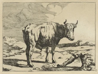 Taureau debout près d