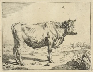 Taureau, debout à droite, avec des oiseaux (Bovins)
