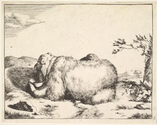 de la série des Ours, vers 1664
