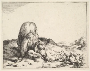 de La série des ours, vers 1664
