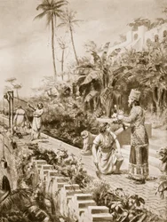 Les Jardins suspendus de Babylone, illustration tirée de «Hutchinson