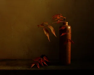 Nature morte d