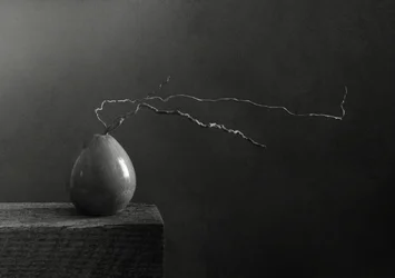 Poire et branche monochromes