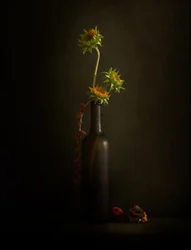 Nature morte au tournesol mélancolique