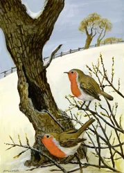 Un couple de rouges-gorges