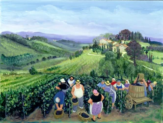Paysage de Chianti