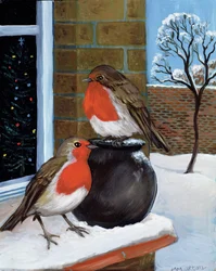 Rouges-gorges dans la neige