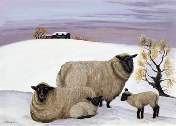 Moutons en hiver