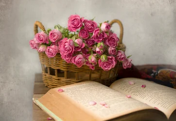 Une lecture douillette au milieu des roses
