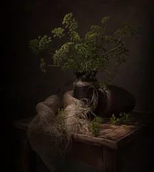 Nature morte botanique sombre