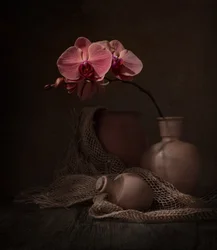Nature morte à l