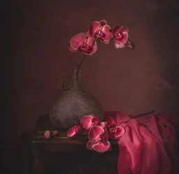 Nature morte à l