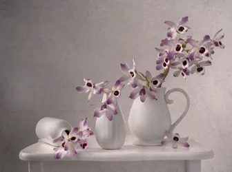 Nature morte délicate à l