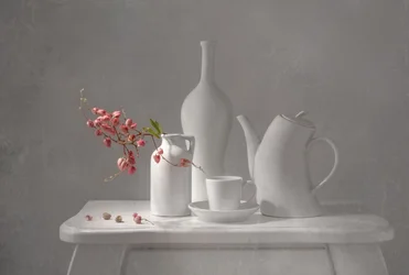 Nature morte rose délicate