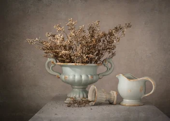 Nature morte aux fleurs séchées