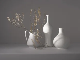 Nature morte botanique minimaliste