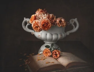 Roses mélancoliques et vieux livre